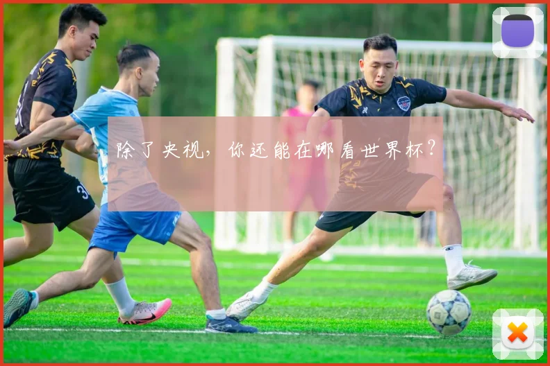 除了央视，你还能在哪看世界杯？