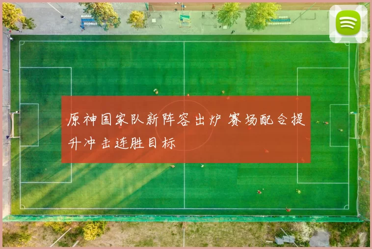 原神国家队新阵容出炉 赛场配合提升冲击连胜目标