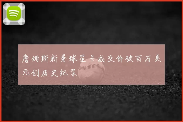 詹姆斯新秀球星卡成交价破百万美元创历史纪录